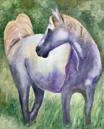 Alie | Paard | Olieverf op canvas