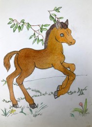Corrie | Paardje voor mijn kleindochter | Potloop op papier