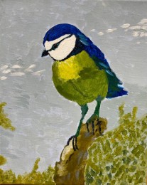 Ellen | Pimpelmeesje | Acrylverf op doek