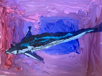 Wil | Haai | Acrylverf op papier