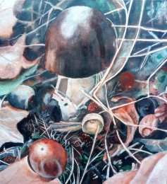 Jean-Pierre | Paddestoelen | Acrylverf Op Doek
