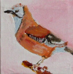 Kees van R. | Vogel serie (1) | Acrylverf op doek