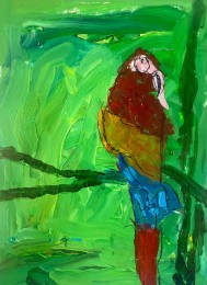 Wil | Papegaai | Acrylverf op papier