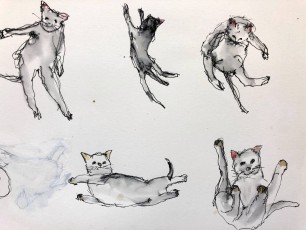 Anneke | Poes Witje lacht zich een Kriek | Inkt