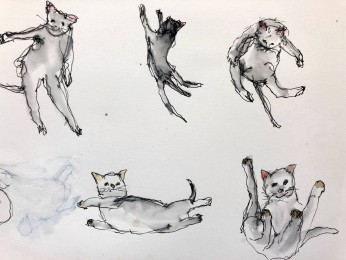 Anneke | Poes Witje lacht zich een Kriek | Inkt