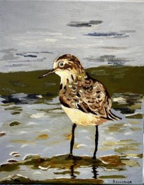 Sylvie | Strandlopertje | acrylverf op doek