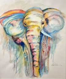 Dirk | Olifant | Aquarelpotlood op papier