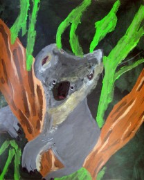 Gerard | Koala in de boom | Acrylverf op papier