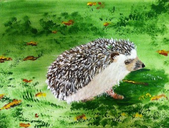 Marja | Egel | Acrylverf op doek