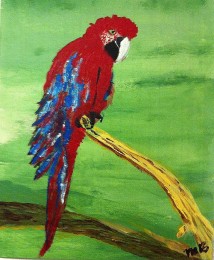 Marja | Papagaai | Acrylverf op doek
