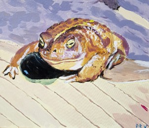 Nico | Rechtstreeppad (Epidalea-calamita) rennend | Acrylverf op doek