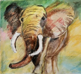 Dirk | Olifant | Aquarelpotlood op papier #2