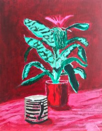 Rolando | Plant | Acrylverf op doek