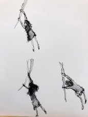 Anneke | Takkewijf 2 | Inkt