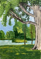 Niels | Westerpark | Acrylverf op Papier