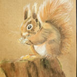 Nel | Eekhoorn | Pastelkrijt op pastelpapier