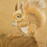 Jenny (Capelle aan de IJssel) | Eekhoorn | pastelkrijt op papier