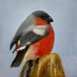 Alie | Goudvink | Olieverf op doek