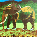 Anneke | Olifant | Acrylverf op doek