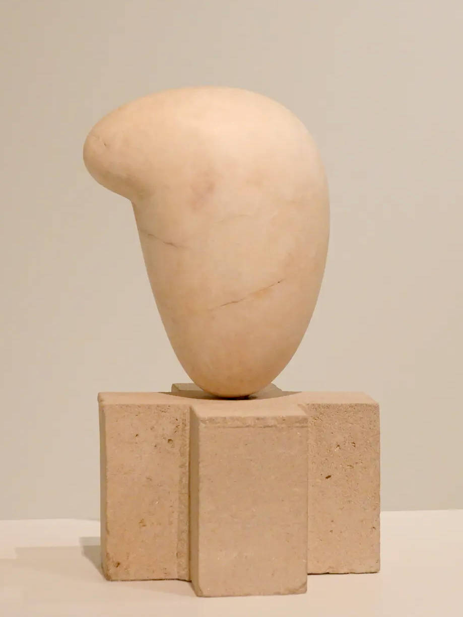 Eileen Lane brancusi