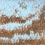 Eveline | Zonder titel | Structuur acrylverf op doek