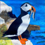 Ans | Papegaaiduiker | acryl op papier