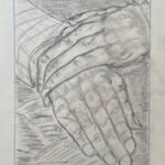 Harry | Handen | Grafietpotlood op Papier