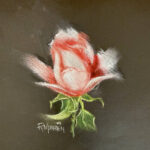 Rob M | Roos | Pastelkrijt op papier