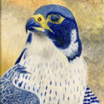 Sjef | Valk | Acrylverf op doek