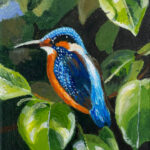 Sylvie | IJsvogel | acrylverf op doek