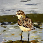 Sylvie | Strandlopertje | acrylverf op doek