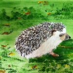 Marja | Egel | Acrylverf op doek
