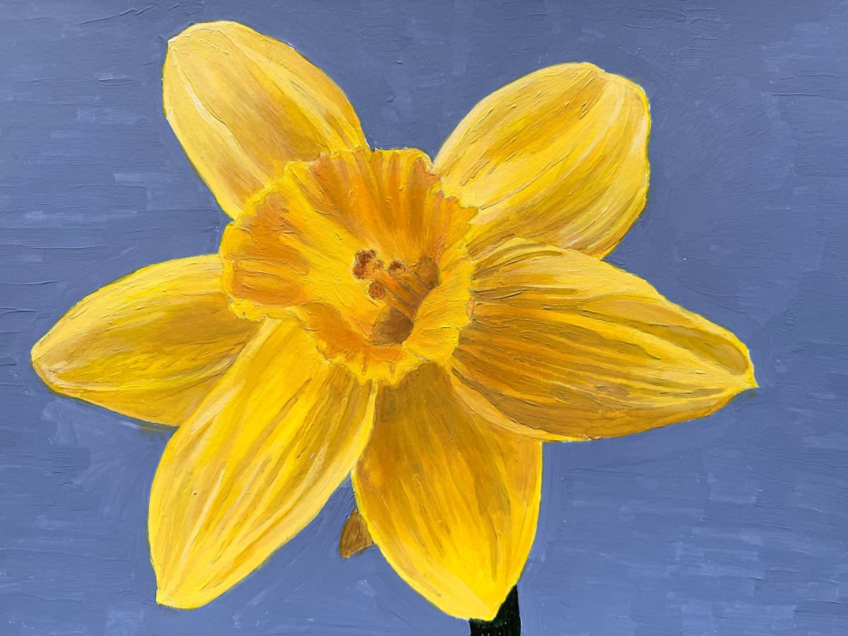 narcis-annemieke-acryl op papier-web