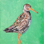 Nico | De grutto | Acrylverf op doek