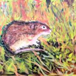 Nico | Noordse woelmuis | Acrylverf op doek