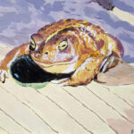 Nico | Rechtstreeppad (Epidalea-calamita) rennend | Acrylverf op doek