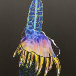 Aaron | Plankton | Acrylverf op doek